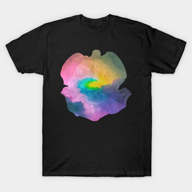 Pastel rainbow triangle flower T-Shirt by Geomhectic